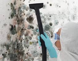 Reliable Bladenboro, NC Mold Remediation Solutions